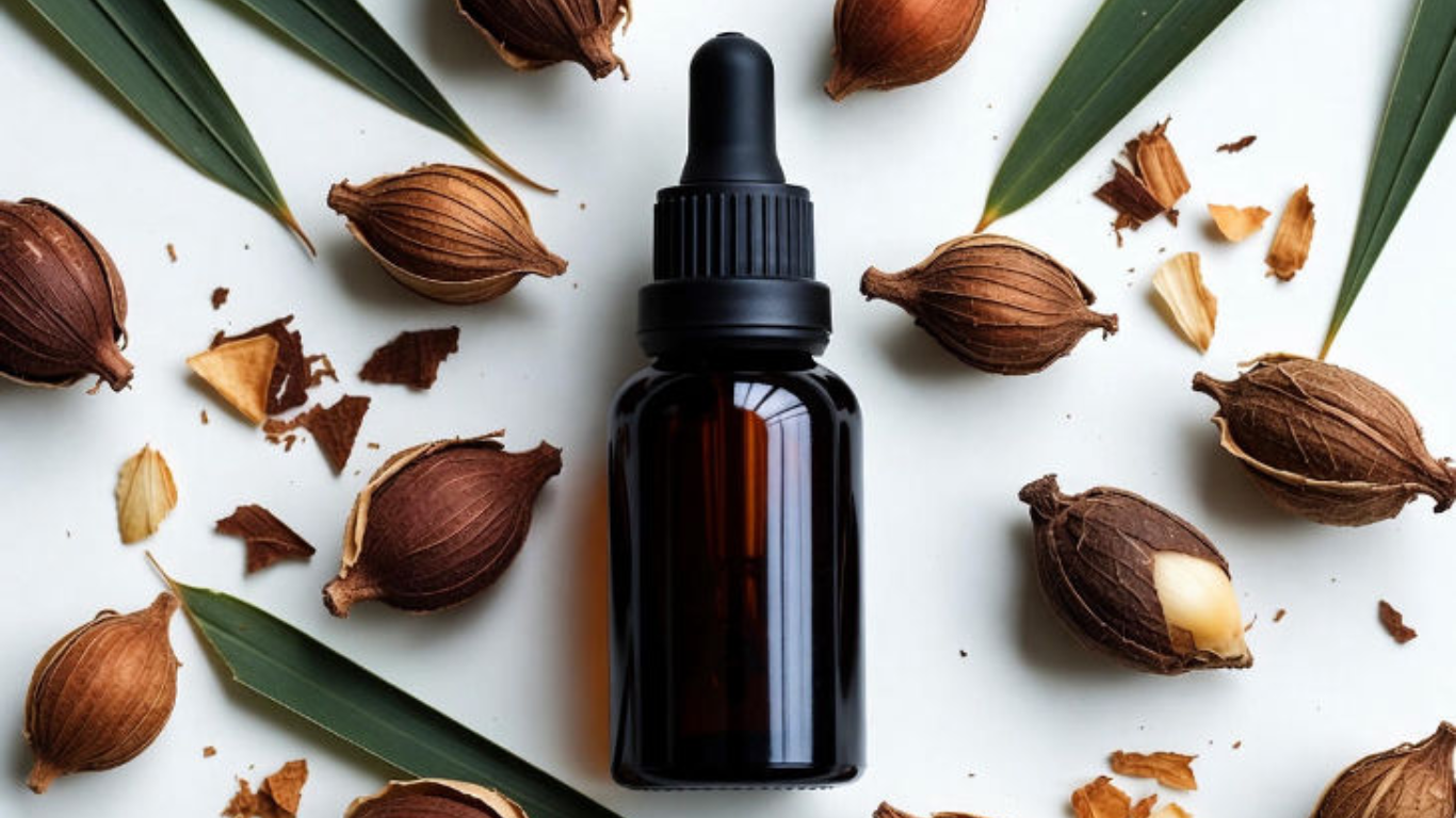 Manufacturer, Exporter, Importer, Supplier, Wholesaler, Retailer, Trader of Saw Palmetto Seed Oil in Mandsaur, Madhya Pradesh, India