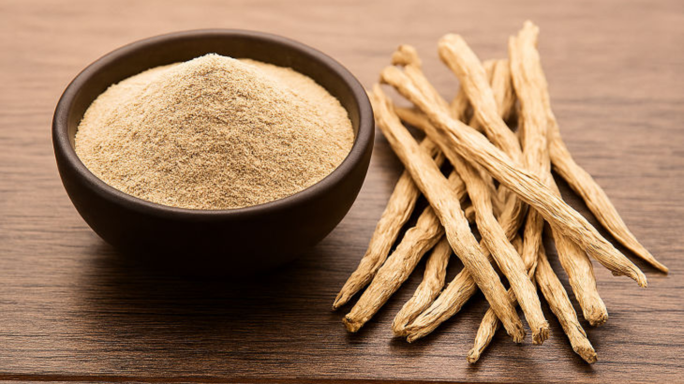 Manufacturer, Exporter, Importer, Supplier, Wholesaler, Retailer, Trader of Shatavar Extract in Mandsaur, Madhya Pradesh, India