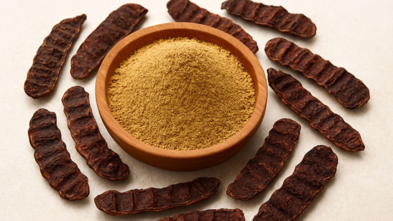 Manufacturer, Exporter, Importer, Supplier, Wholesaler, Retailer, Trader of Shikakai Extract in Mandsaur, Madhya Pradesh, India