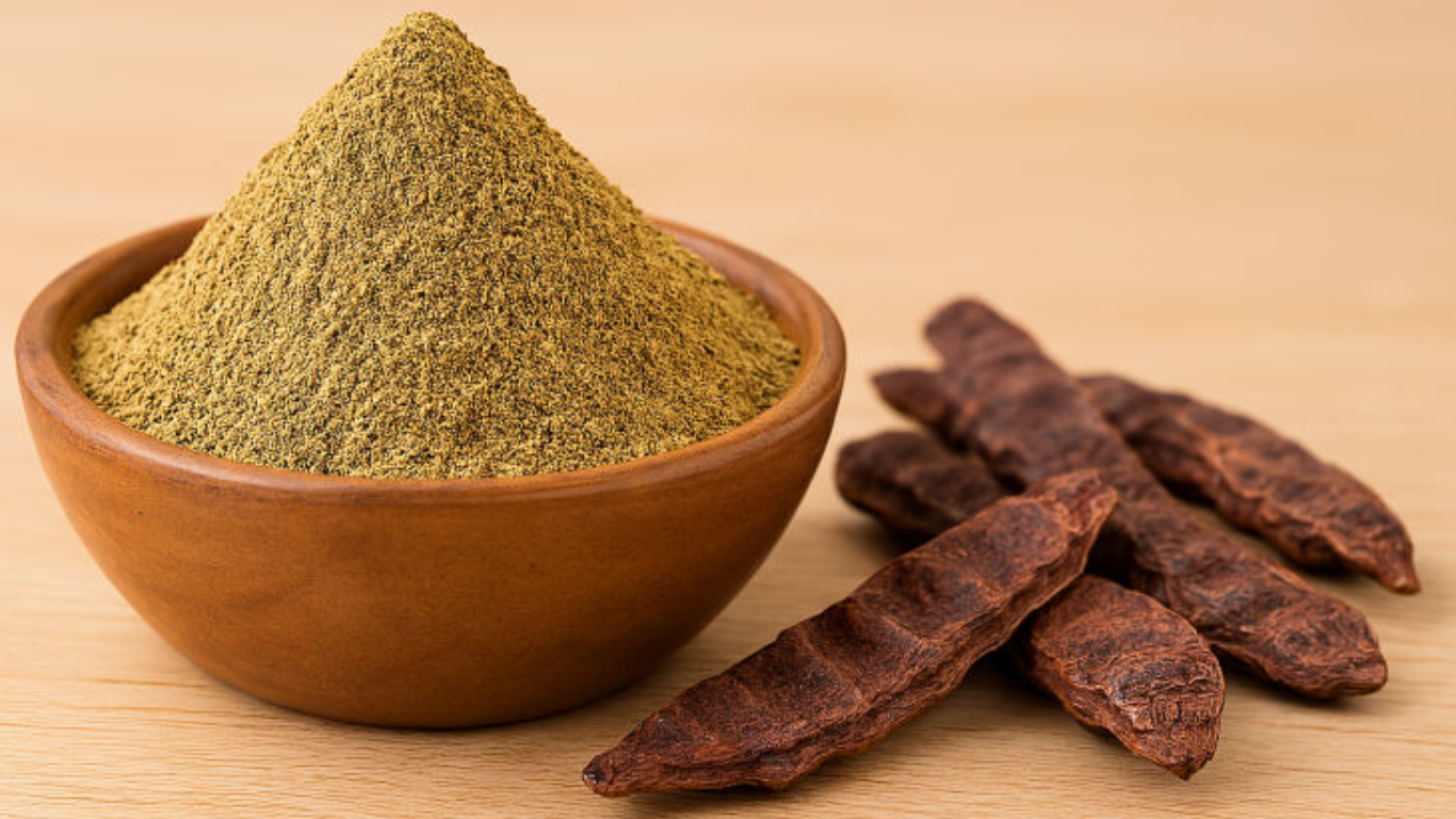 Manufacturer, Exporter, Importer, Supplier, Wholesaler, Retailer, Trader of Shikakai Powder in Mandsaur, Madhya Pradesh, India