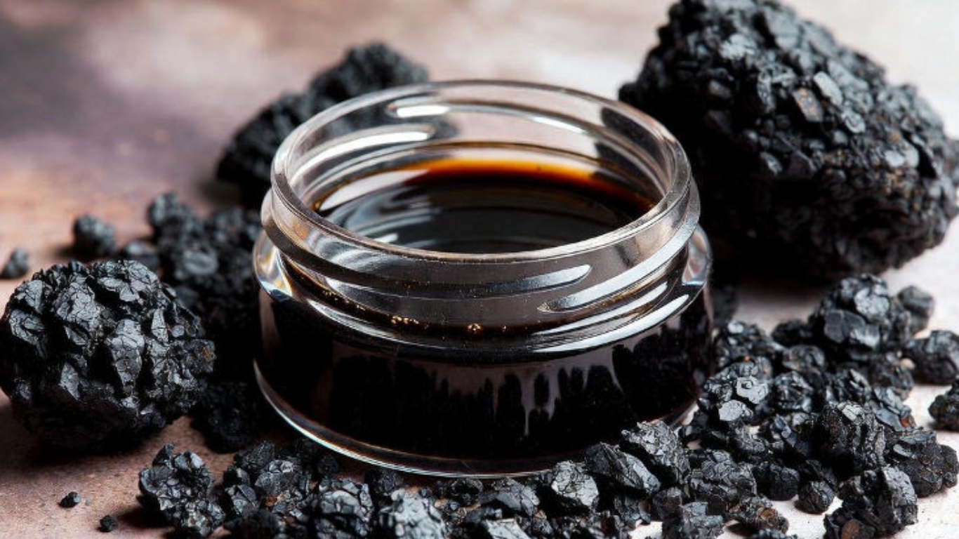 Manufacturer, Exporter, Importer, Supplier, Wholesaler, Retailer, Trader of Shilajit Soft Extract in Mandsaur, Madhya Pradesh, India