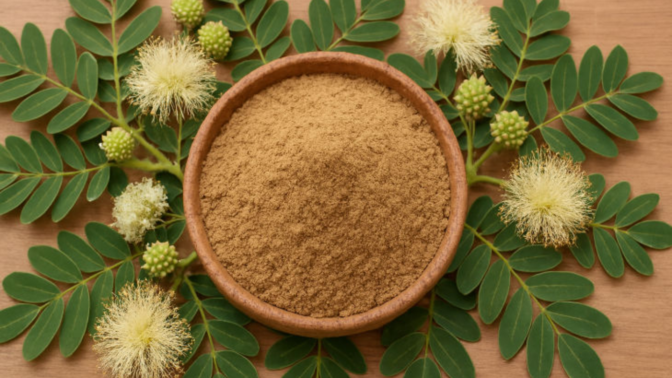 Manufacturer, Exporter, Importer, Supplier, Wholesaler, Retailer, Trader of Shirisha Extract in Mandsaur, Madhya Pradesh, India