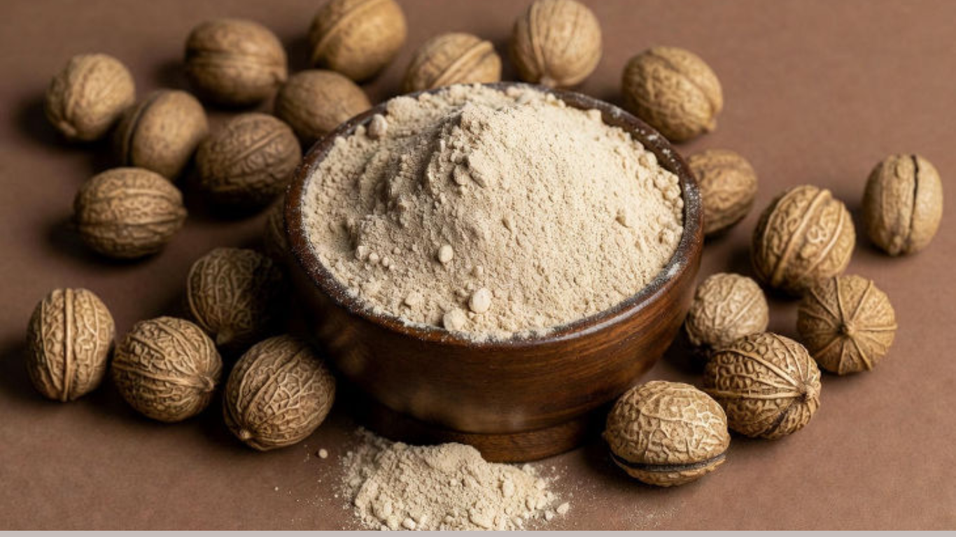 Manufacturer, Exporter, Importer, Supplier, Wholesaler, Retailer, Trader of Soapnut 20%-50% Extract in Mandsaur, Madhya Pradesh, India