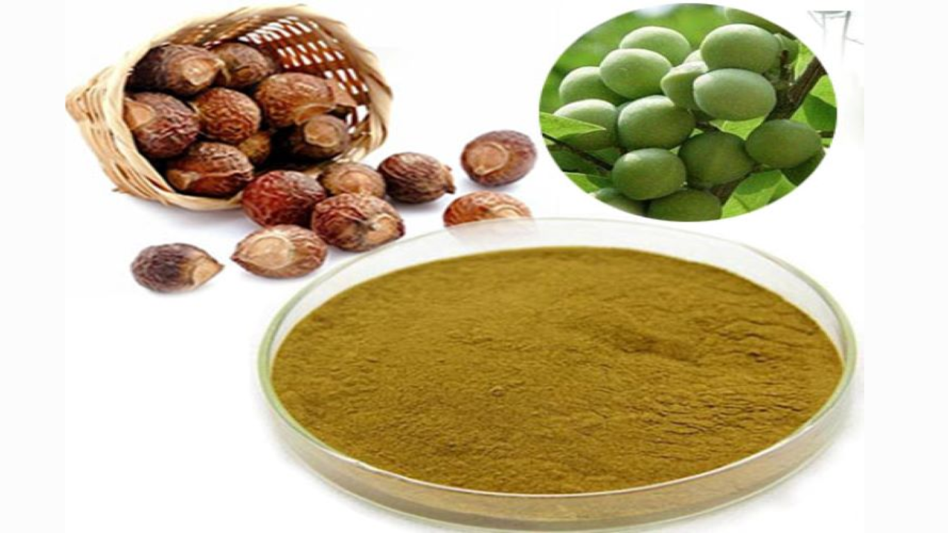 Manufacturer, Exporter, Importer, Supplier, Wholesaler, Retailer, Trader of Soapnut Powder in Mandsaur, Madhya Pradesh, India