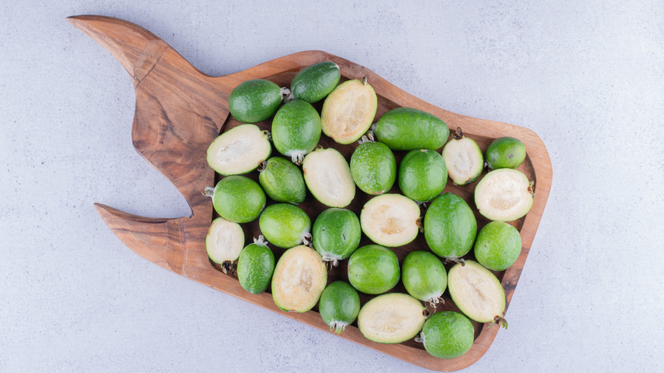 Manufacturer, Exporter, Importer, Supplier, Wholesaler, Retailer, Trader of Terminalia chebula (Harad) in Mandsaur, Madhya Pradesh, India