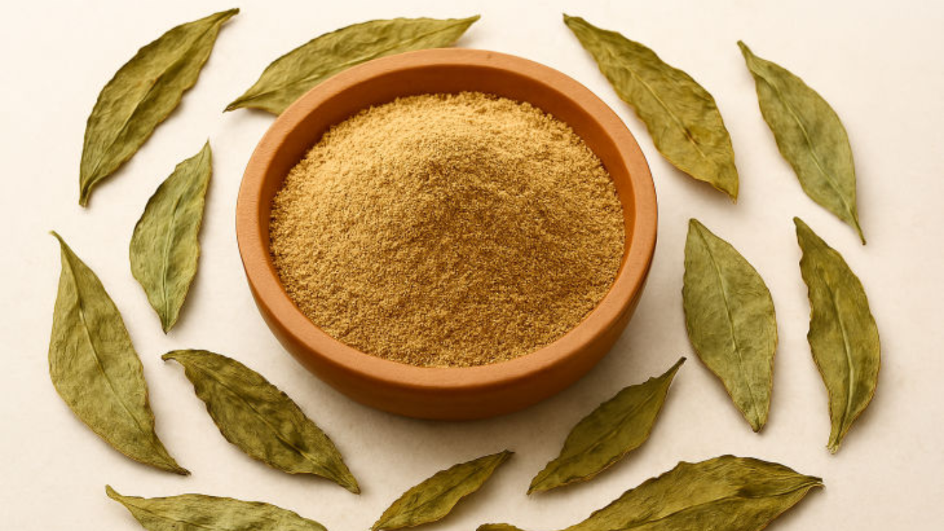 Manufacturer, Exporter, Importer, Supplier, Wholesaler, Retailer, Trader of Vasaka / Adusa Extract in Mandsaur, Madhya Pradesh, India