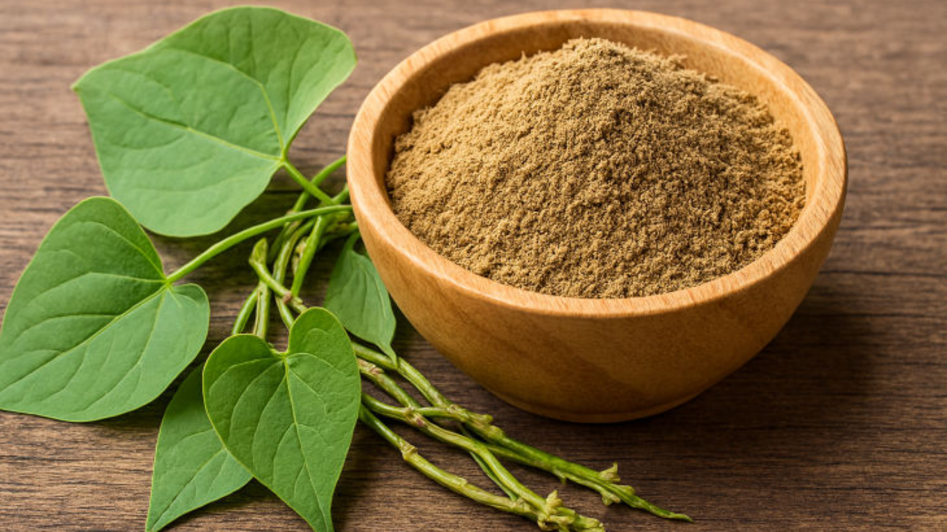 Manufacturer, Exporter, Importer, Supplier, Wholesaler, Retailer, Trader of Vidhara Extract in Mandsaur, Madhya Pradesh, India