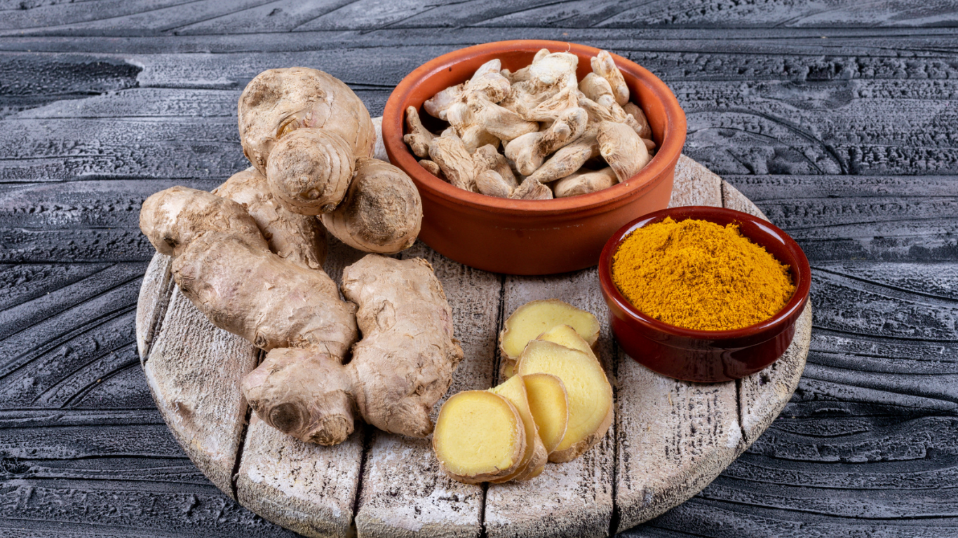 Manufacturer, Exporter, Importer, Supplier, Wholesaler, Retailer, Trader of Zingiber officinale (Sonth) in Mandsaur, Madhya Pradesh, India